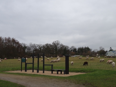 Moutons et jeux