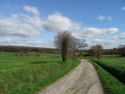 Entre Saulnières et le Petit-Fougeray