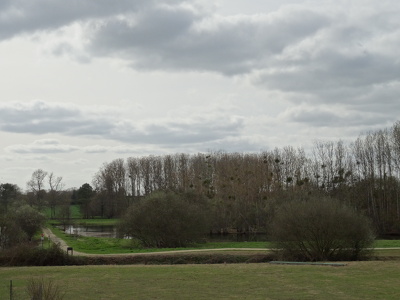 Vallée de la Seiche