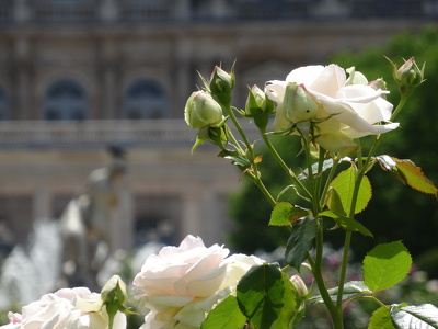 Jardin du Palais Royal