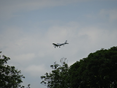 Avion