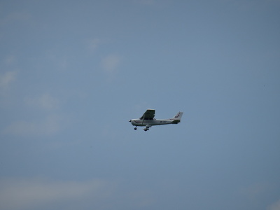 Avion