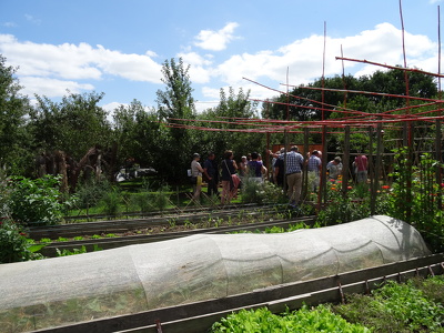 Jardins de Rocambole