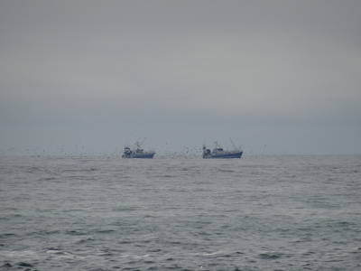 Bateaux de pêche