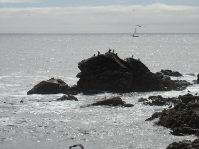 Côte sud du Croisic