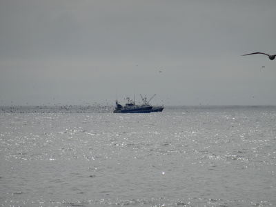 Bateaux de pêcheurs