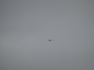 Avion "canard"