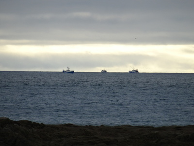 Bateaux de pêche