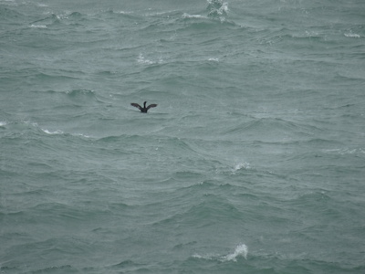 Batz-sur-Mer