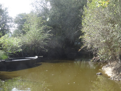 Marais de Brière