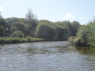 Marais de Brière