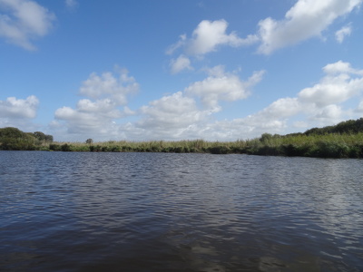 Marais de Brière