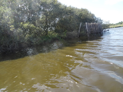 Marais de Brière