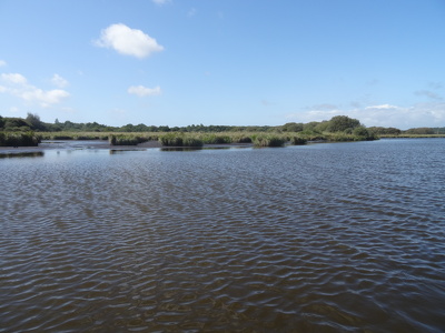 Marais de Brière