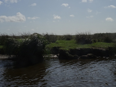 Marais de Brière