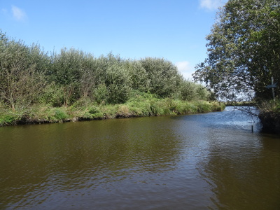 Marais de Brière
