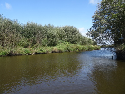 Marais de Brière