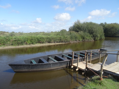 Marais de Brière