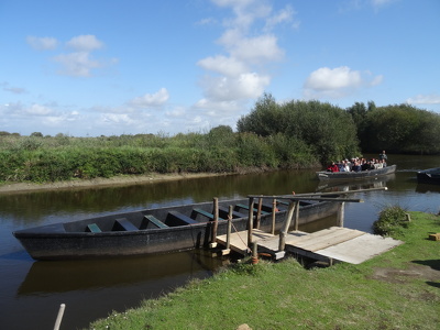 Marais de Brière