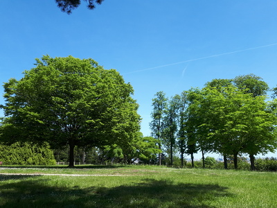 Domaine national de Saint-Cloud