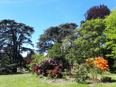 Domaine national de Saint-Cloud