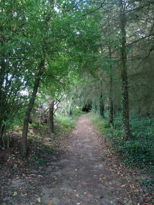 Chemin du Calvaire de Bertaud