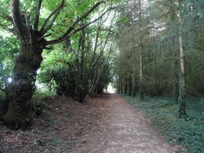 Chemin du Calvaire de Bertaud