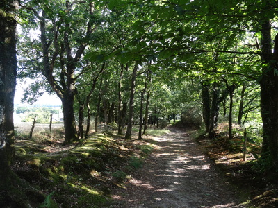 Chemin du Calvaire de Bertaud