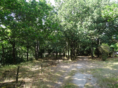 Chemin du Calvaire de Bertaud