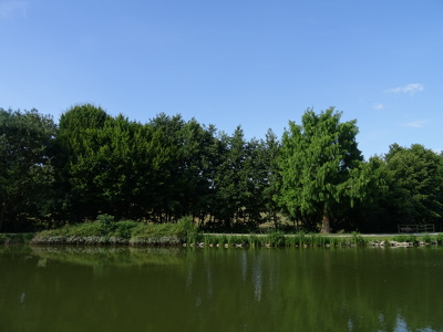 Etang de Châteaugiron