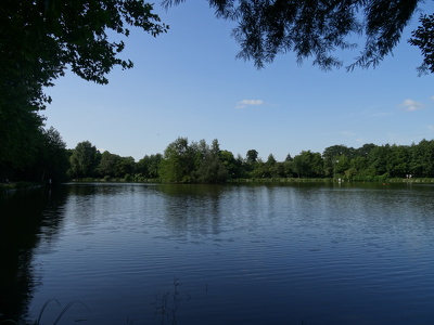 Etang de Châteaugiron