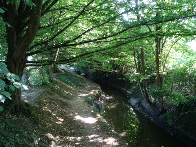 Etang de Châteaugiron