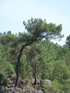 Au alentour de l'Île-aux-Pies