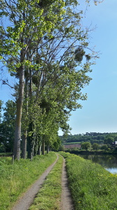 Balade à vélo sur les bords de la Vilaine