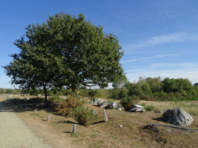 Site mégalithique de Saint-Just