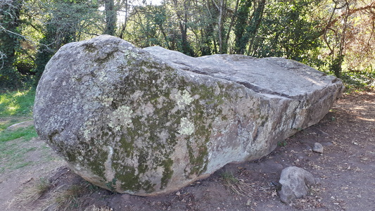 Sentier des mégalithes à Erdeven