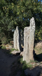 Sentier des mégalithes à Erdeven