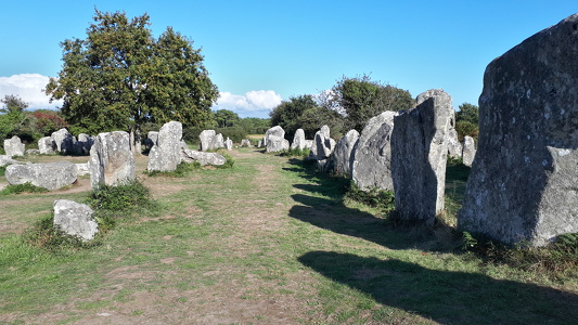 Alignements de Kerzérho à Erdeven