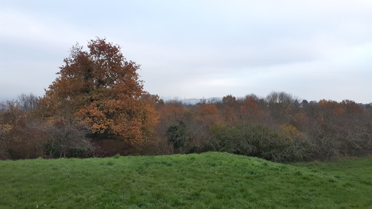 2020-11-29.Rueil-Malmaison