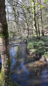 Promenade autour de La Chapelle-Bouëxic