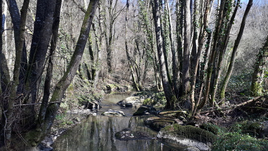 Promenade autour de La Chapelle-Bouëxic