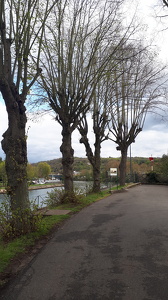 Au abord des écluses de Bougival