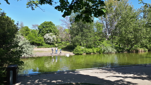 Parc André Malraux à Nanterre