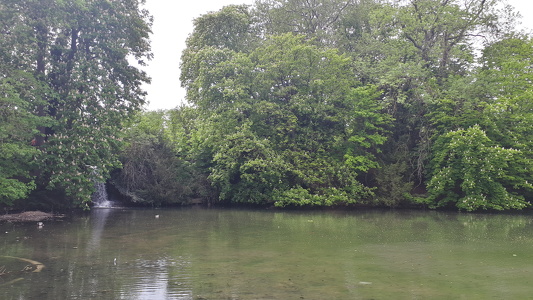 Bois de Boulogne