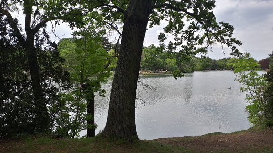 Bois de Boulogne