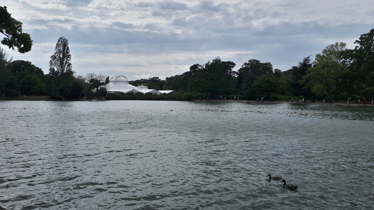 Bois de Boulogne