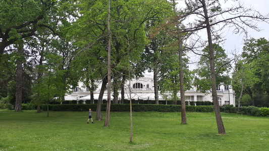 Le Pré Catalan au Bois de Boulogne