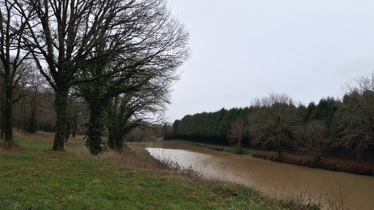 2021-12-28.Tresboeuf