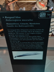 IMG20230429164533