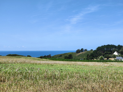 Dans la campagne de Erquy